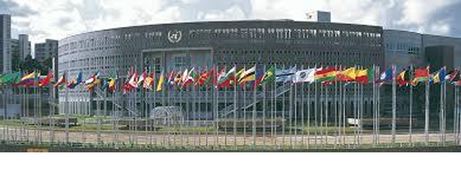 UNECA Africa: Sophia Bekele elected to serve as a Regional advisor to the UNECA